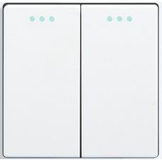 2-gang 2-way mechanical switch module - WHITE
